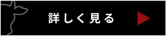 詳しく見る